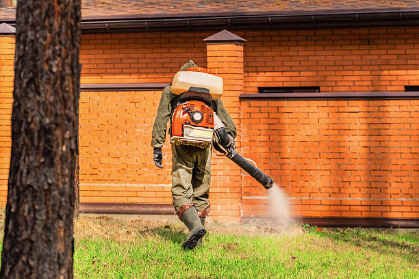 Trusted Cockroach Control service in Millville, DE - Nex Pest Control